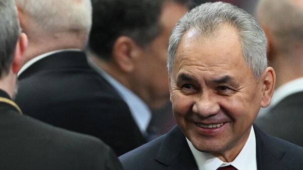 俄安全会议秘书谢尔盖·绍伊古 - 俄罗斯卫星通讯社