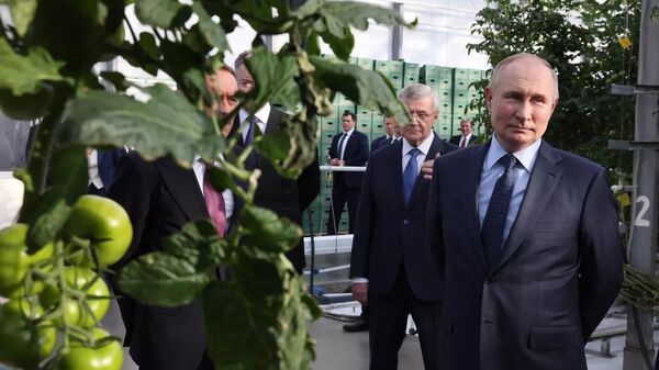 俄羅斯總統：俄羅斯農產品銷往全球150個國家 - 俄羅斯衛星通訊社