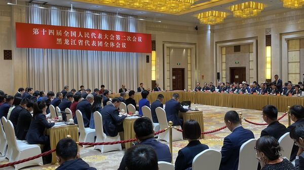 中国全国人大代表：黑龙江的营商政策对中国和外国企业一视同仁