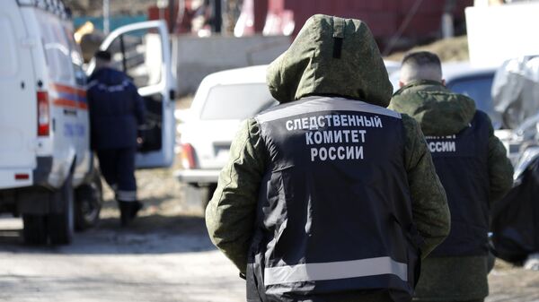 乌军用无人机袭击别尔哥罗德地区一村庄造成两人死亡 - 俄罗斯卫星通讯社