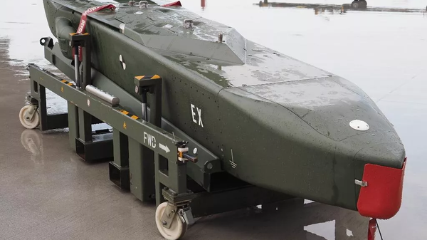 专家: 向乌克兰提供“金牛座”导弹不会对战斗行动产生重要影响 - 俄罗斯卫星通讯社