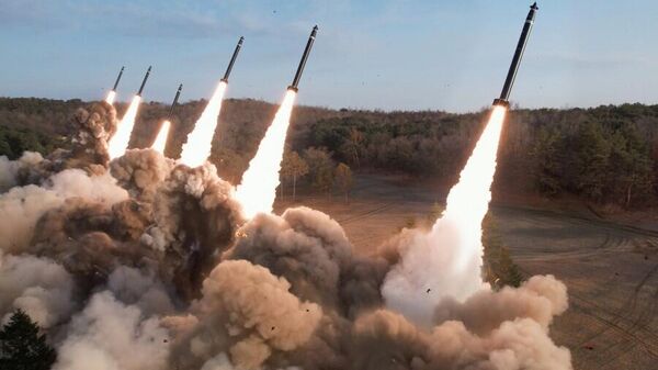 朝鮮600毫米超大型火箭炮 - 俄羅斯衛星通訊社