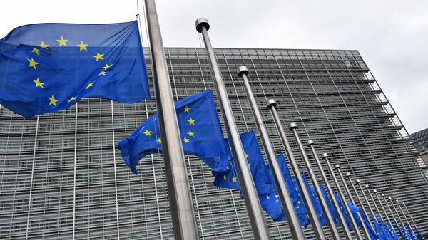 媒體：歐盟可能向突尼斯撥款約1.65億歐元打擊非法移民 - 俄羅斯衛星通訊社