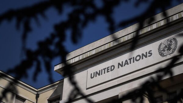媒體：聯合國安理會4月18日將就巴勒斯坦加入聯合國問題進行投票 - 俄羅斯衛星通訊社