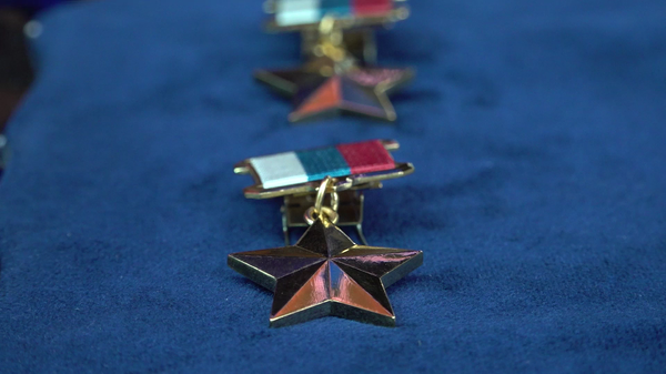 俄国防部长授予两名军官俄罗斯英雄金星勋章  - 俄罗斯卫星通讯社