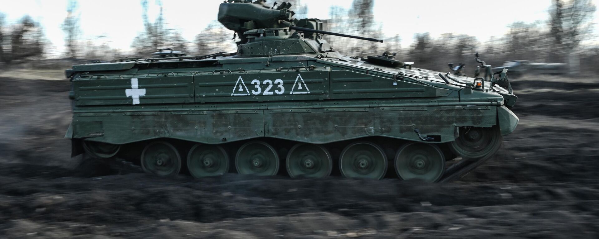 德國政府：柏林移交給基輔10輛“黃鼠狼”步戰車及“豹 2”坦克彈藥 - 俄羅斯衛星通訊社, 1920, 30.04.2024