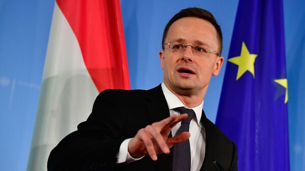 匈牙利外交与对外经济部部长彼得•西亚尔托 - 俄罗斯卫星通讯社