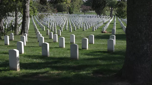 美國墓地裡增多的在烏喪生雇傭兵之墓 - 俄羅斯衛星通訊社