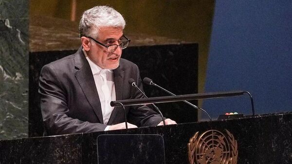 伊朗常駐聯合國代表阿米爾∙賽義德∙伊拉瓦尼 - 俄羅斯衛星通訊社