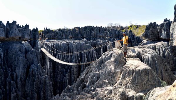 馬達加斯加島黥基・德・貝馬拉哈自然保護區的黥“基岩”層（石灰岩尖峰） - 俄羅斯衛星通訊社