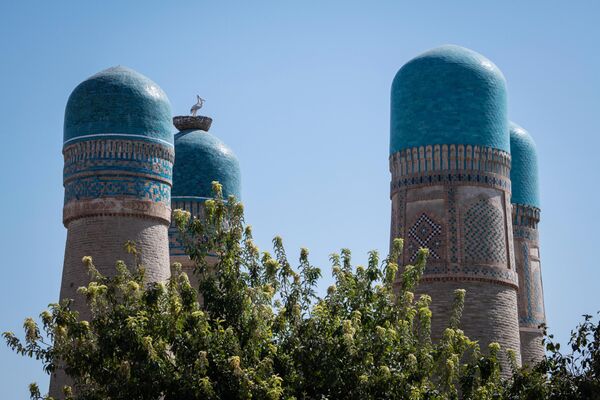 烏茲別克斯坦布哈拉歷史中心的“四個小尖塔”經學院（Chor Minor Madrasah） - 俄羅斯衛星通訊社