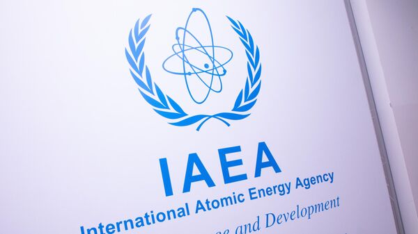 伊朗原子能組織：國際原子能機構總幹事即將訪問伊朗 - 俄羅斯衛星通訊社