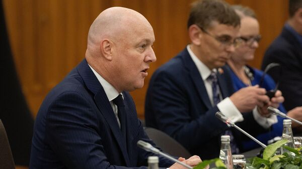 新西兰总理出于对中国的尊重排除访台可能性 - 俄罗斯卫星通讯社