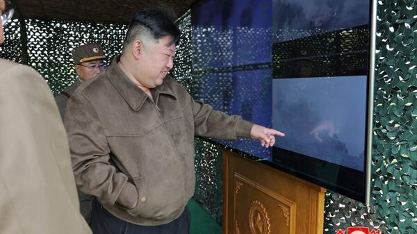 韩国专家：朝鲜使用超大型 多管火箭发射系统 的训练表明平壤准备应对可能的核打击 - 俄羅斯衛星通訊社