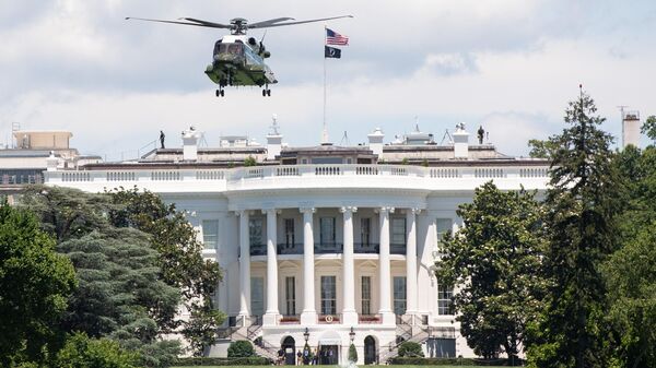 媒體：拜登的新直升機已轉入備用狀態 該機燒毀白宮草坪 - 俄羅斯衛星通訊社