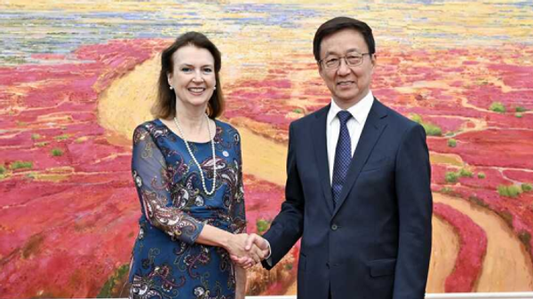 中国国家副主席韩正会见阿根廷外长蒙迪诺 - 俄罗斯卫星通讯社