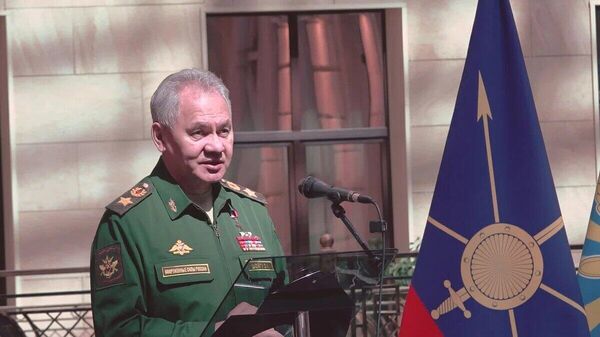 俄国防部长向俄罗斯军人颁发“金星”奖章 - 俄羅斯衛星通訊社