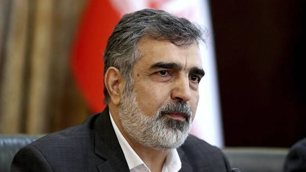 伊朗原子能組織(AEOI) 發言人貝魯茲·卡馬爾萬迪 - 俄羅斯衛星通訊社