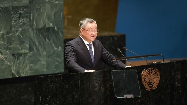 中国常驻联合国代表傅聪大使 - 俄罗斯卫星通讯社