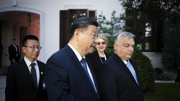 中国和匈牙利为欧盟国家务实合作树立典范 - 俄罗斯卫星通讯社