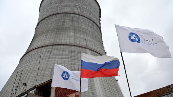 欧洲在制裁俄罗斯燃料后可能会出现核反应堆故障问题 - 俄罗斯卫星通讯社