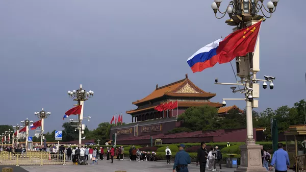 專家：中俄應團結起來共同推動國際秩序向多極化方向發展 - 俄羅斯衛星通訊社