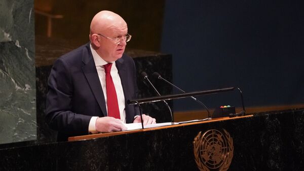 俄常驻联合国代表：一旦西方没收资产，俄罗斯将动用“所有可及的手段”