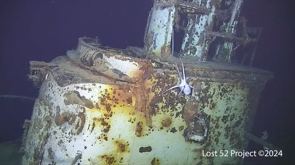 南海发现第二次世界大战期间的美国潜水艇 - 俄罗斯卫星通讯社