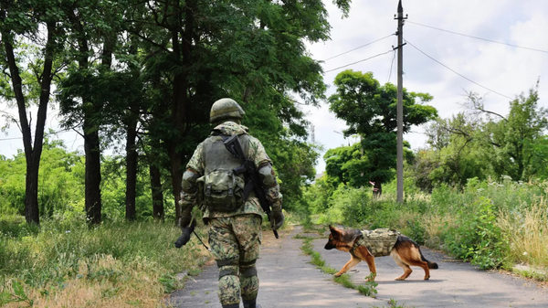 俄邊防局局長：軍犬在特別軍事行動期間正成功搜尋敵方無人機 - 俄羅斯衛星通訊社