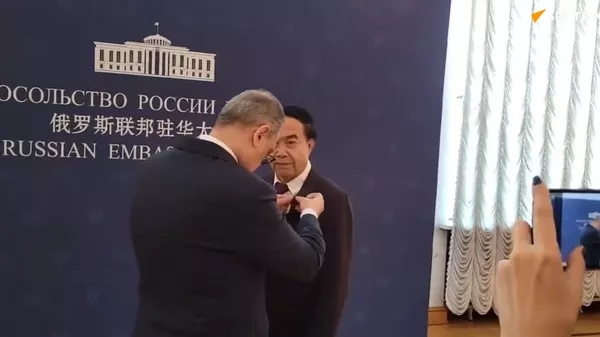 俄駐華大使向金台藝術館館長袁熙坤頒發友誼獎章 - 俄羅斯衛星通訊社