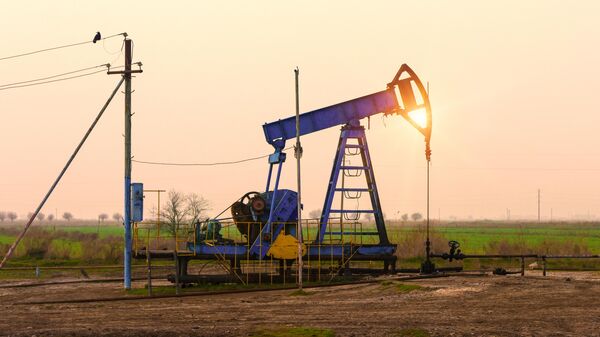 国际能源署：2029年全球石油需求量将达到1.056亿桶/日的峰值 随后开始下降 - 俄罗斯卫星通讯社