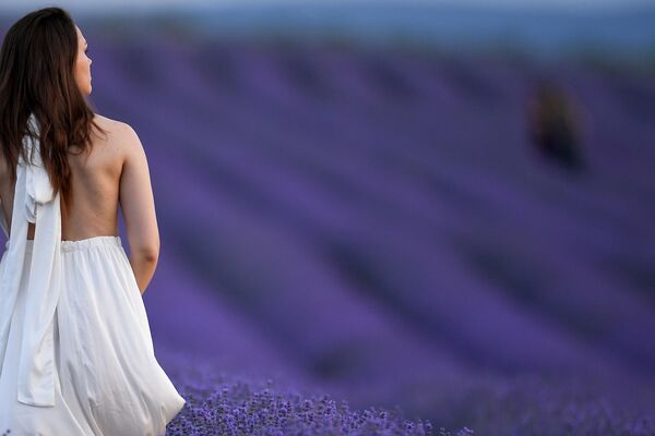 在紫色薰衣草花田裡拍照的女孩。 - 俄羅斯衛星通訊社