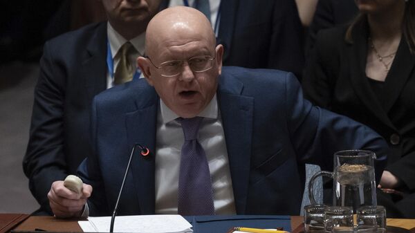 俄常驻联合国代表：和平协议只可能与乌克兰的合法政权签署 - 俄罗斯卫星通讯社