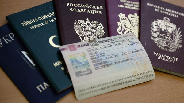 俄经济发展部建议推出多次往返俄罗斯签证 - 俄罗斯卫星通讯社