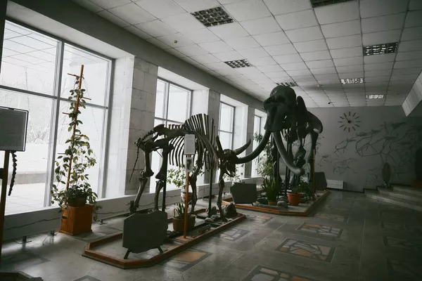 俄羅斯科學院西伯利亞分院考古與民族學研究所 俄羅斯科學院西伯利亞分院考古與民族學研究所 - 俄羅斯衛星通訊社
