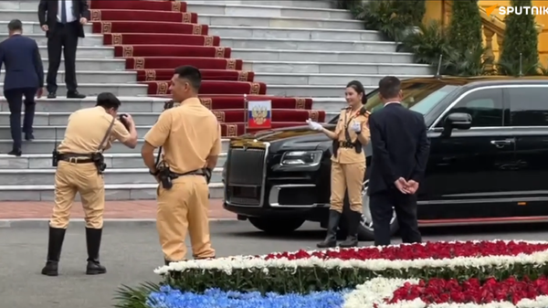 越南民众与俄产奥鲁斯轿车合影留念 - 俄罗斯卫星通讯社