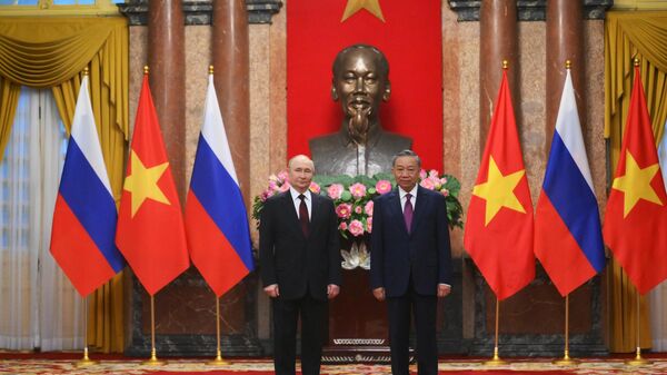 普京访问越南 - 俄罗斯卫星通讯社