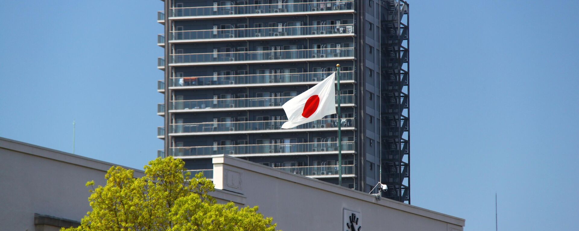 日本政治学家：普京关于日本的讲话是积极的，日本应改变其立场 - 俄罗斯卫星通讯社, 1920, 11.11.2024