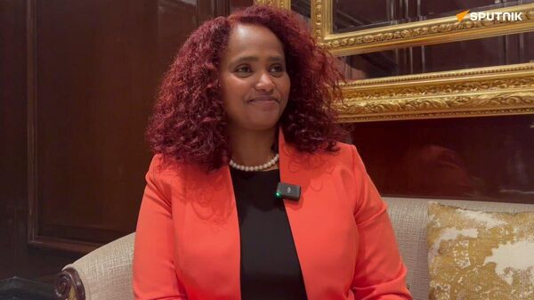 埃塞俄比亚旅游部长：金砖国家需共同努力促进旅游业发展 - 俄罗斯卫星通讯社