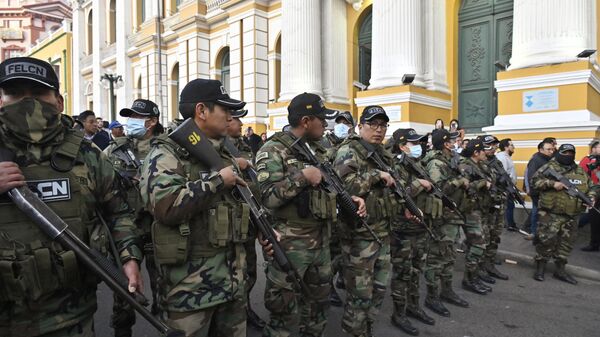 时政博主：玻利维亚政变未遂根本原因在于不得人心 - 俄罗斯卫星通讯社