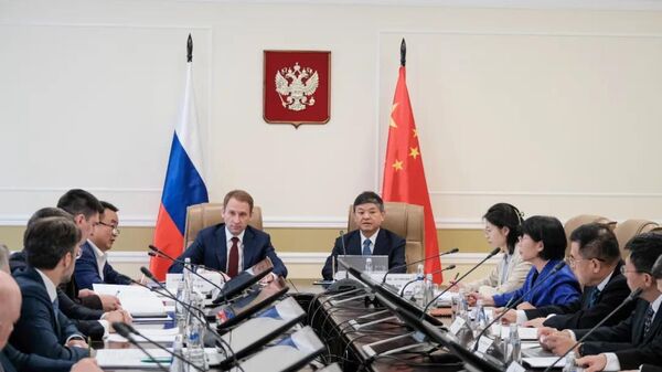中俄总理定期会晤委员会环保合作分委会第十九次会议召开 - 俄罗斯卫星通讯社