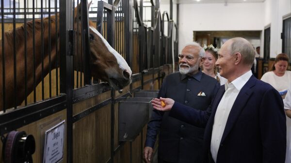 印度总理纳伦德拉·莫迪访俄
