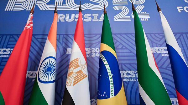 金砖国家的议员们赞同在国际平台上合作 - 俄罗斯卫星通讯社