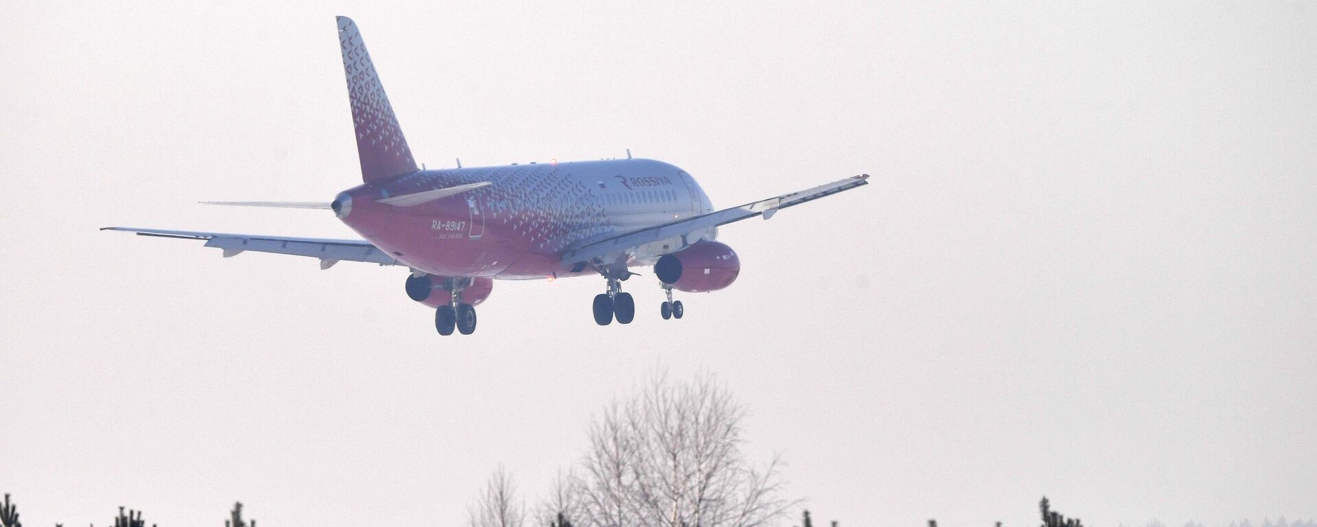 国际能源署署长：欧洲航空燃料储备大约仅够维持六周 - 俄罗斯卫星通讯社, 1920, 17.04.2026