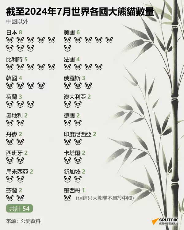 在世界各地哪裡可以看到大熊貓？ - 俄羅斯衛星通訊社