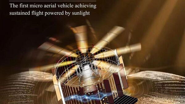 中國研發出僅重4克多的太陽能動力微型無人機 - 俄羅斯衛星通訊社