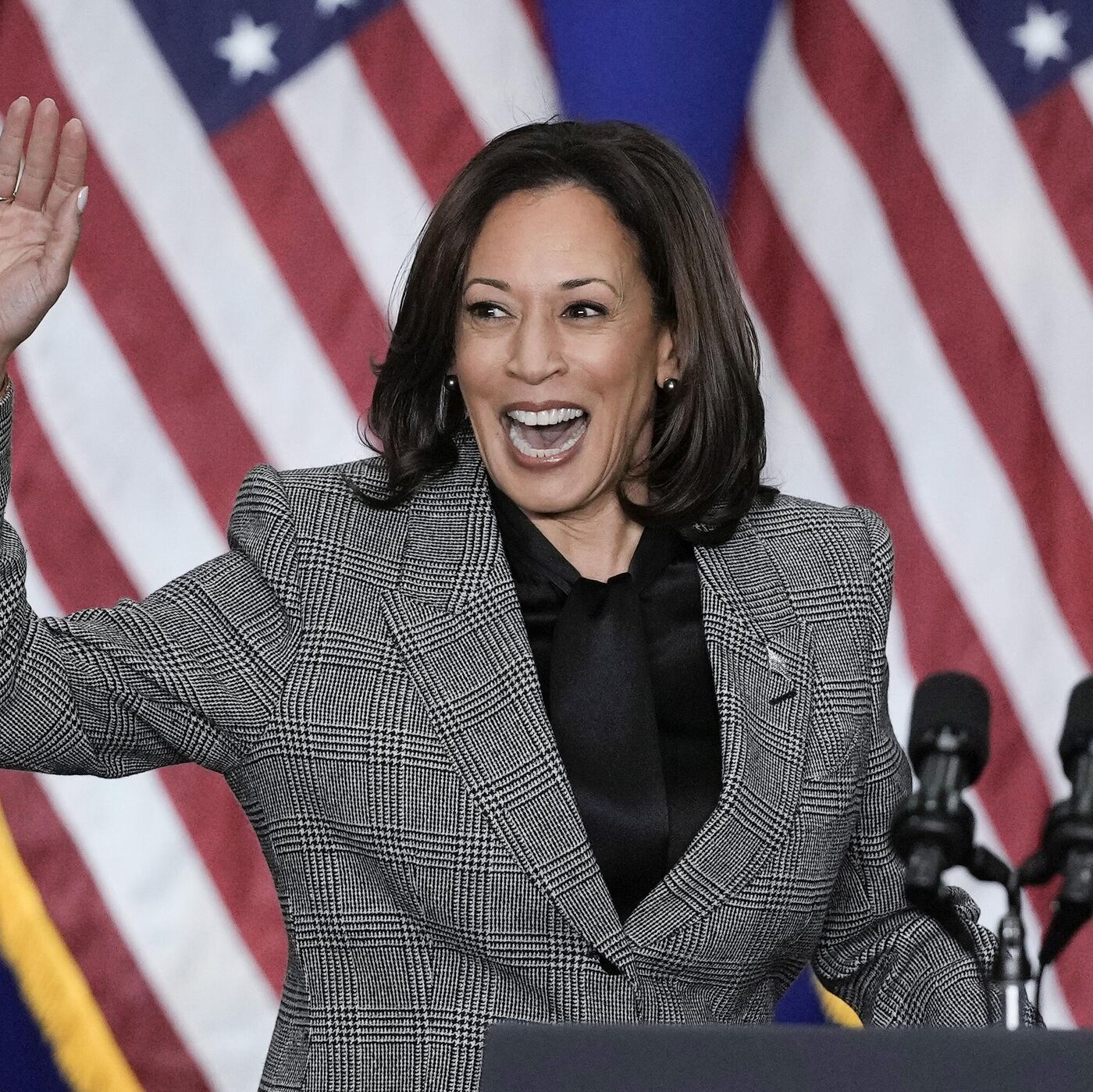 谁是卡玛拉·哈里斯的傀儡？ - 2024年7月23日, 俄罗斯卫星通讯社