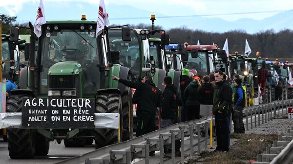 媒體：法國約20名農民封鎖一家連鎖超市的物流中心 - 俄羅斯衛星通訊社