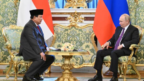 普京：俄罗斯与印尼的经贸关系发展顺利，贸易额增加
