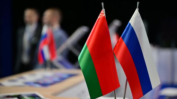 白俄罗斯外交部：若乌克兰越过其边境，白方将动用全部潜力予以回应 - 俄罗斯卫星通讯社